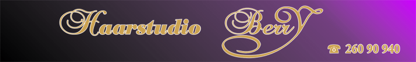 Haarstudio Berry Logo